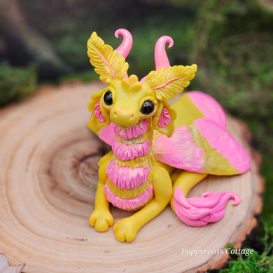 Maypeline the Rosy Maple Dragon
