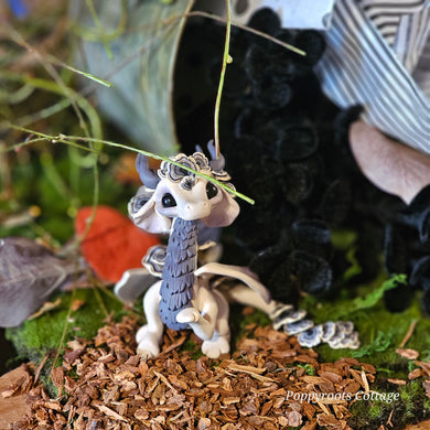 Witch's Garden Box
