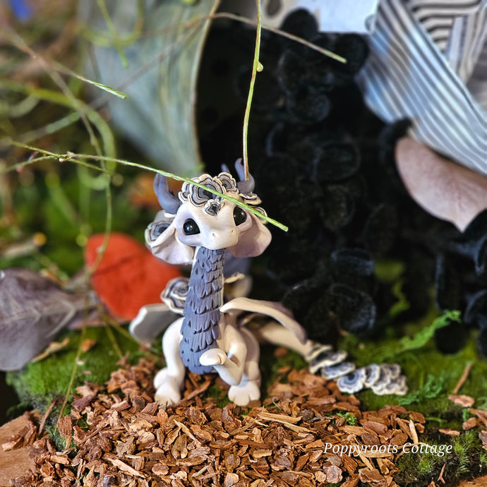 Witch's Garden Box